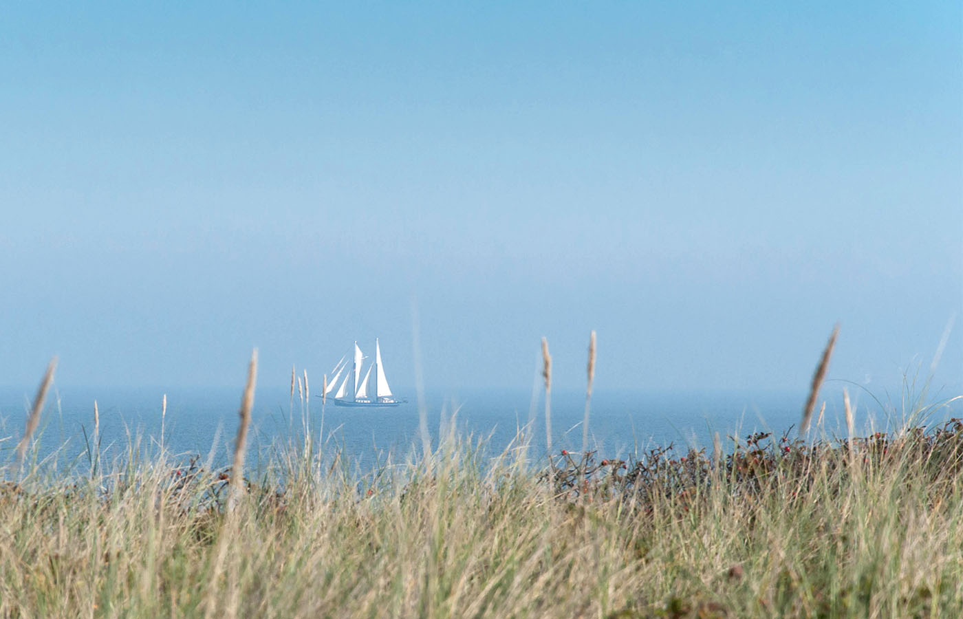 Blick über die Düne von Wangerooge mit einem Segelschiff am Horizont.