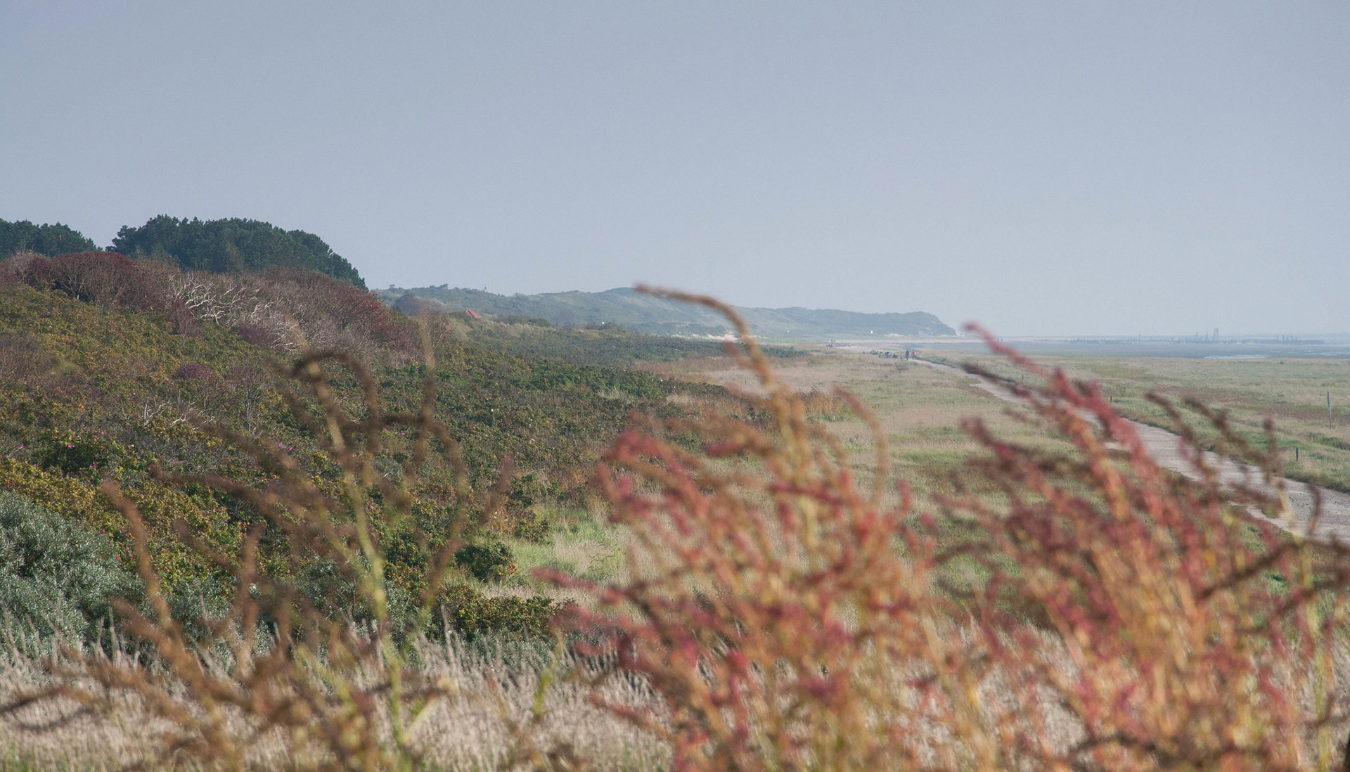 Blick über die verlassene, hügelige Landschaft von Wangerooge.